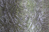 Haswell fibreglass roof work